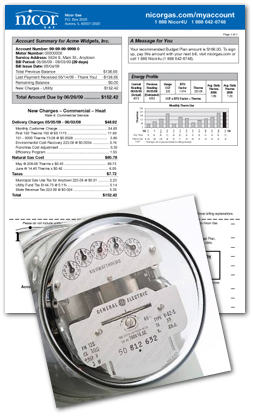 Gas & Electric Cost Review